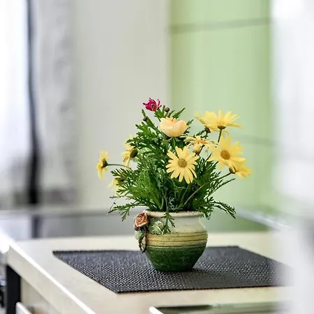 Apartments Joso * Rtina
